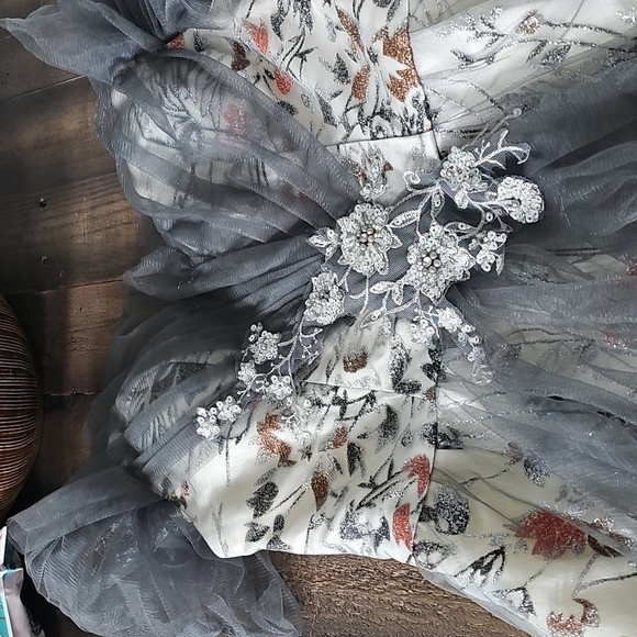 Gray, Floral Print ,Case Up, Applique,  Lace, Mesh, Sequins, Ball Gown - Picture 13 of 16